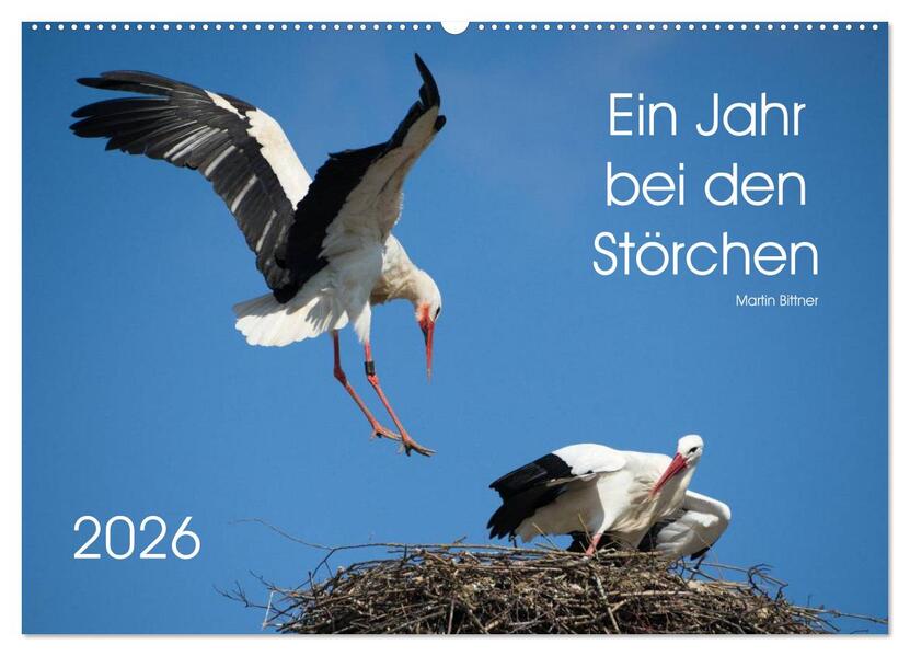 Ein Jahr bei den Störchen (Wandkalender 2026 DIN A2 quer) CALVENDO Monatskalender