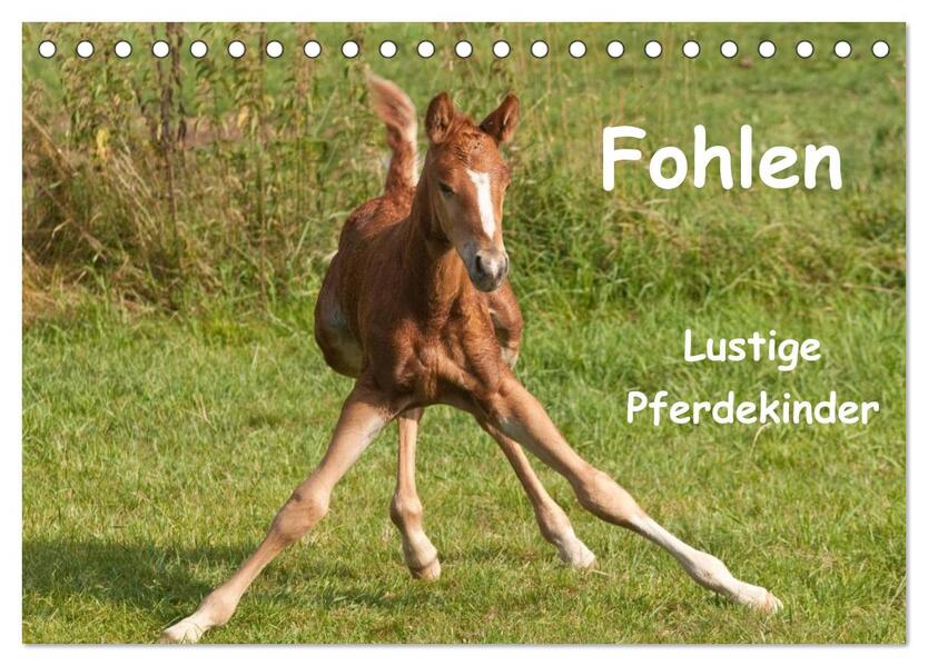 Fohlen - Lustige Pferdekinder (Tischkalender 2026 DIN A5 quer) CALVENDO Monatskalender