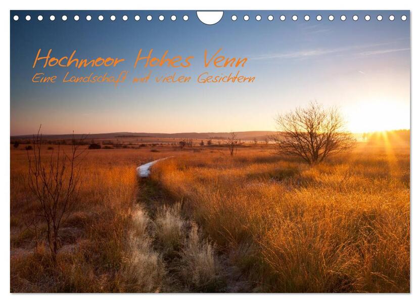 Hochmoor Hohes Venn (Wandkalender 2026 DIN A4 quer) CALVENDO Monatskalender