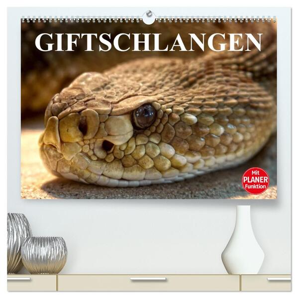 Giftschlangen (hochwertiger Premium Wandkalender 2026 DIN A2 quer) Kunstdruck in Hochglanz