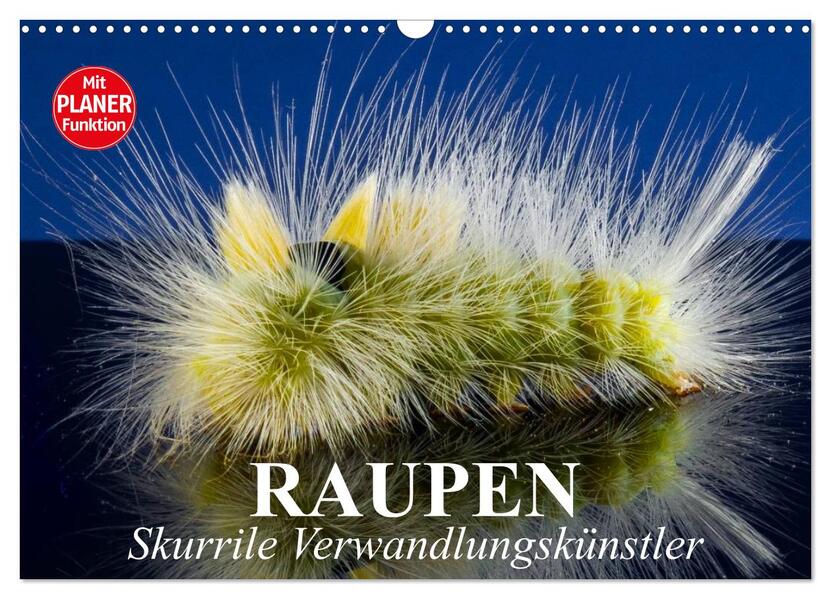 Raupen. Skurrile Verwandlungskünstler (Wandkalender 2026 DIN A3 quer) CALVENDO Monatskalender
