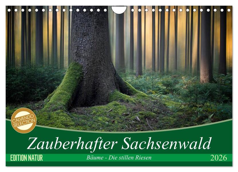 Zauberhafter Sachsenwald (Wandkalender 2026 DIN A4 quer) CALVENDO Monatskalender