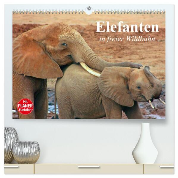 Elefanten in freier Wildbahn (hochwertiger Premium Wandkalender 2026 DIN A2 quer) Kunstdruck in Hochglanz