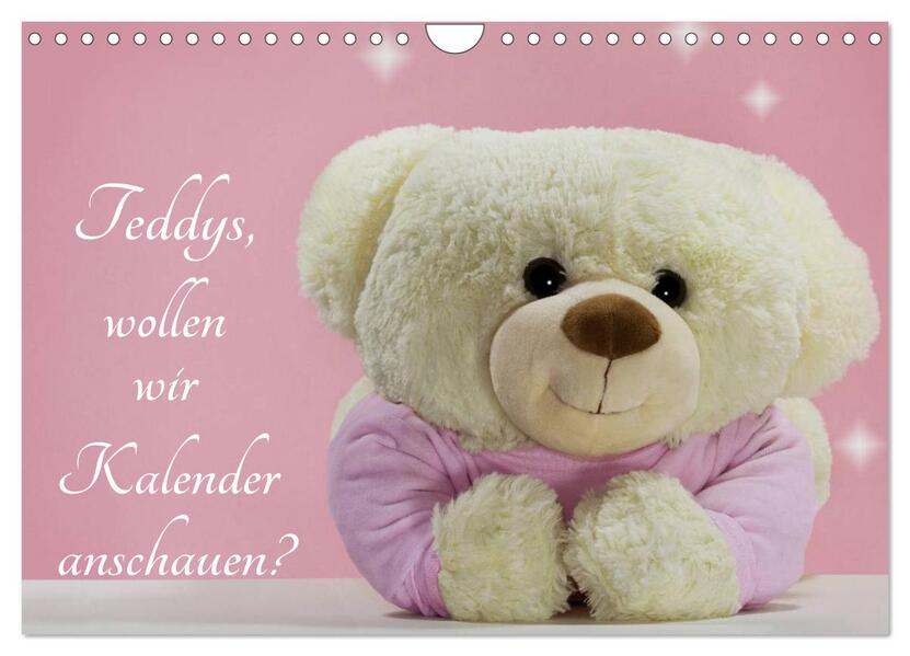Teddys wollen wir Kalender anschauen? (Wandkalender 2026 DIN A4 quer) CALVENDO Monatskalender
