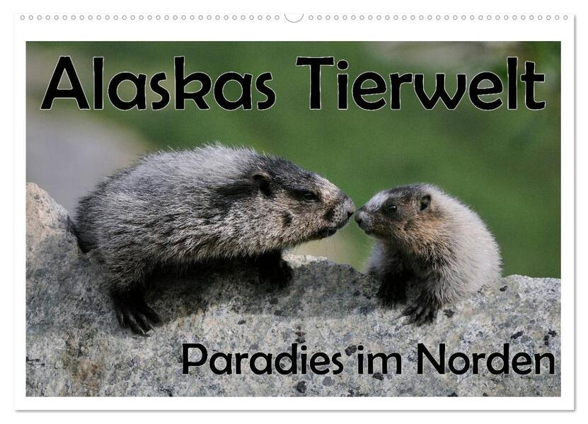 Alaskas Tierwelt - Paradies im Norden (Wandkalender 2026 DIN A2 quer) CALVENDO Monatskalender