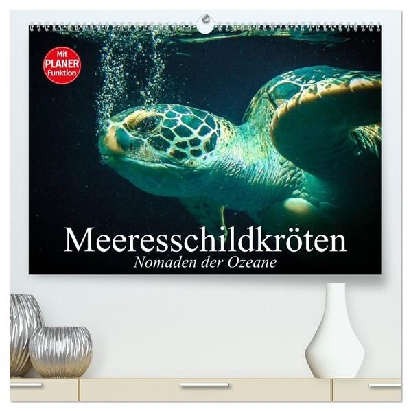 Meeresschildkröten. Nomaden der Ozeane (hochwertiger Premium Wandkalender 2026 DIN A2 quer) Kunstdruck in Hochglanz