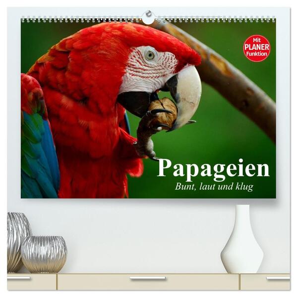 Papageien. Bunt laut und klug (hochwertiger Premium Wandkalender 2026 DIN A2 quer) Kunstdruck in Hochglanz