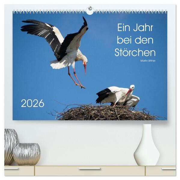 Ein Jahr bei den Störchen (hochwertiger Premium Wandkalender 2026 DIN A2 quer) Kunstdruck in Hochglanz