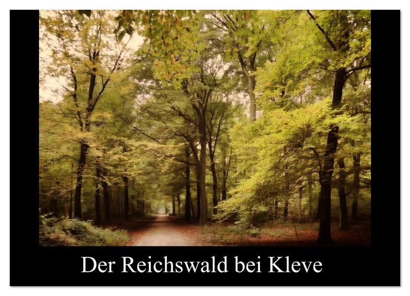 Der Reichswald bei Kleve (Wandkalender 2026 DIN A4 quer) CALVENDO Monatskalender