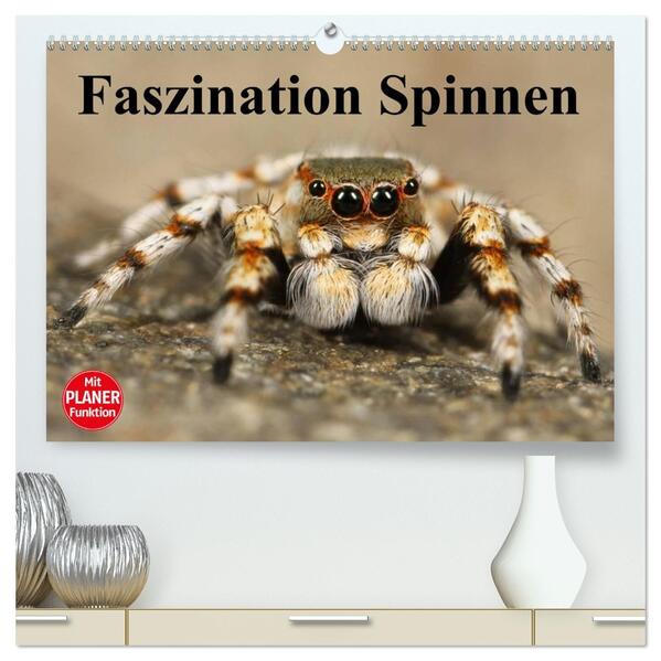 Faszination Spinnen (hochwertiger Premium Wandkalender 2026 DIN A2 quer) Kunstdruck in Hochglanz