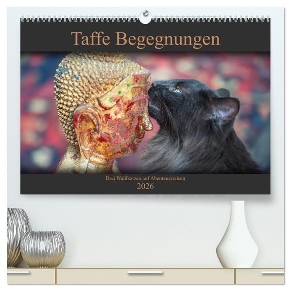 Taffe Begegnungen-Drei Waldkatzen auf Abenteuerreisen (hochwertiger Premium Wandkalender 2026 DIN A2 quer) Kunstdruck in Hochglanz