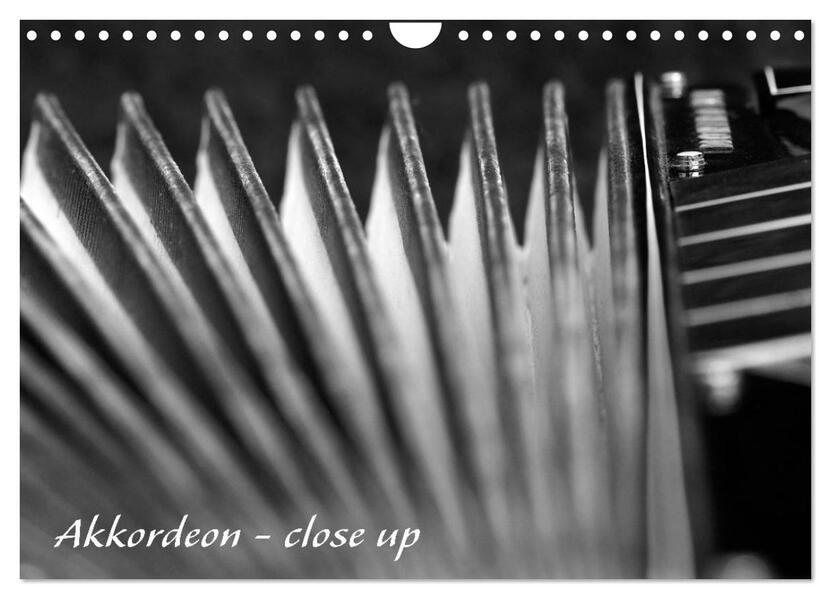 Akkordeon - close up (Wandkalender 2026 DIN A4 quer) CALVENDO Monatskalender