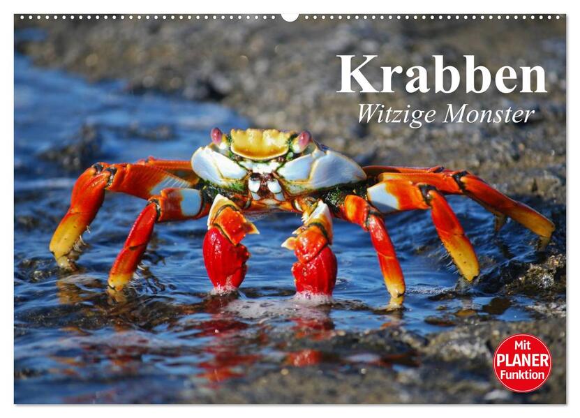 Krabben. Witzige Monster (Wandkalender 2026 DIN A2 quer) CALVENDO Monatskalender