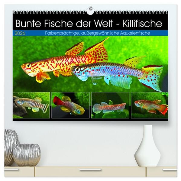 Bunte Fische der Welt - Killifische (hochwertiger Premium Wandkalender 2026 DIN A2 quer) Kunstdruck in Hochglanz