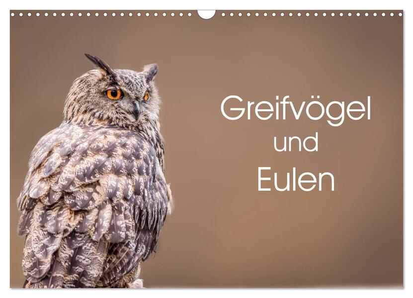 Greifvögel und Eulen (Wandkalender 2026 DIN A3 quer) CALVENDO Monatskalender