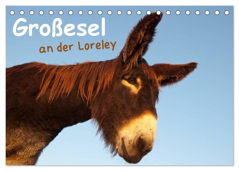 Großesel an der Loreley (Tischkalender 2026 DIN A5 quer) CALVENDO Monatskalender