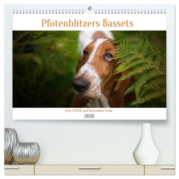 Der Basset eine LANGE und besondere Liebe (hochwertiger Premium Wandkalender 2026 DIN A2 quer) Kunstdruck in Hochglanz