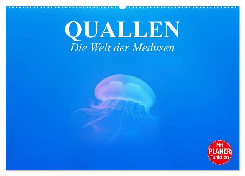 Quallen. Die Welt der Medusen (Wandkalender 2026 DIN A2 quer) CALVENDO Monatskalender