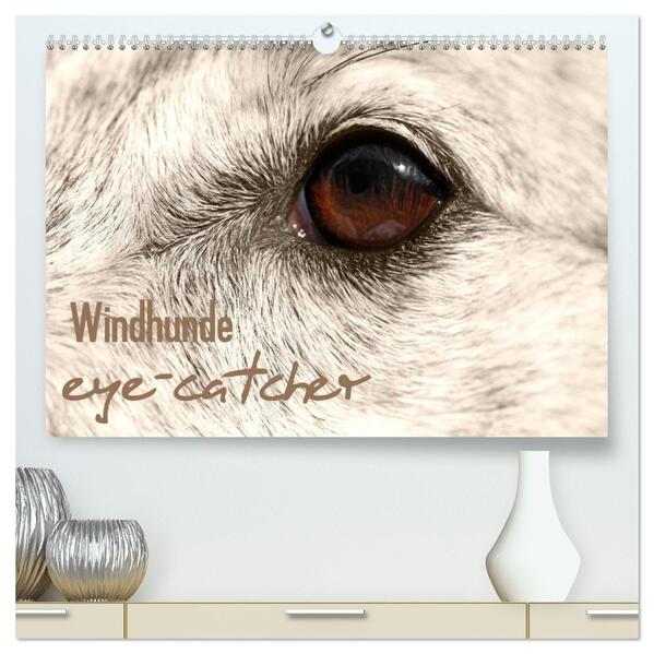 Windhunde eye-catcher (hochwertiger Premium Wandkalender 2026 DIN A2 quer) Kunstdruck in Hochglanz