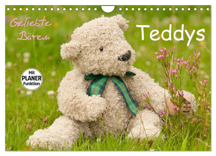 Geliebte Bären - Teddys (Wandkalender 2026 DIN A4 quer) CALVENDO Monatskalender