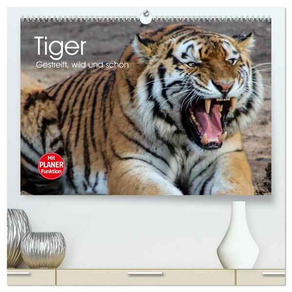 Tiger. Gestreift wild und schön (hochwertiger Premium Wandkalender 2026 DIN A2 quer) Kunstdruck in Hochglanz