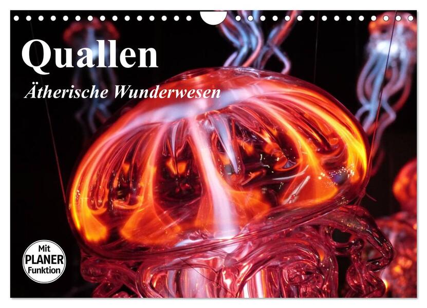 Quallen. Ätherische Wunderwesen (Wandkalender 2026 DIN A4 quer) CALVENDO Monatskalender