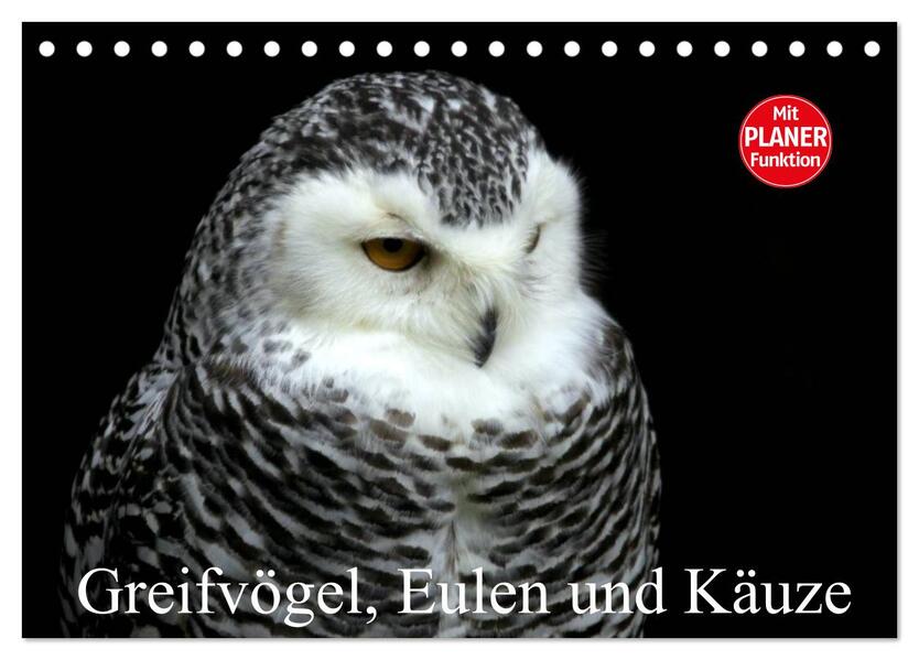 Greifvögel Eulen und Käuze (Tischkalender 2026 DIN A5 quer) CALVENDO Monatskalender