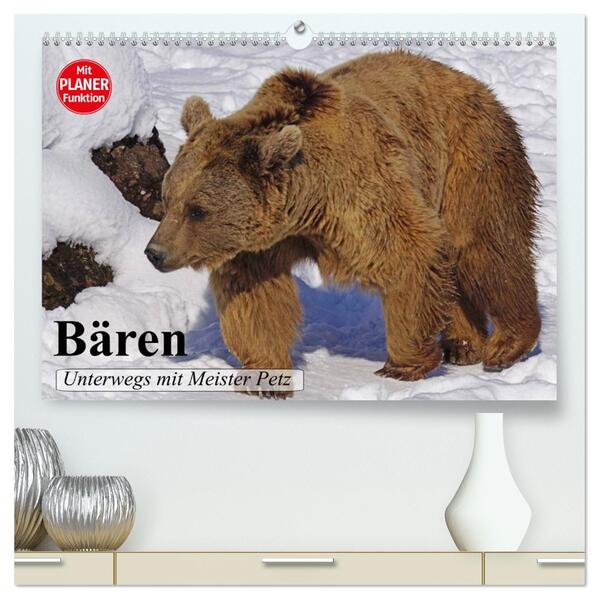 Bären. Unterwegs mit Meister Petz (hochwertiger Premium Wandkalender 2026 DIN A2 quer) Kunstdruck in Hochglanz