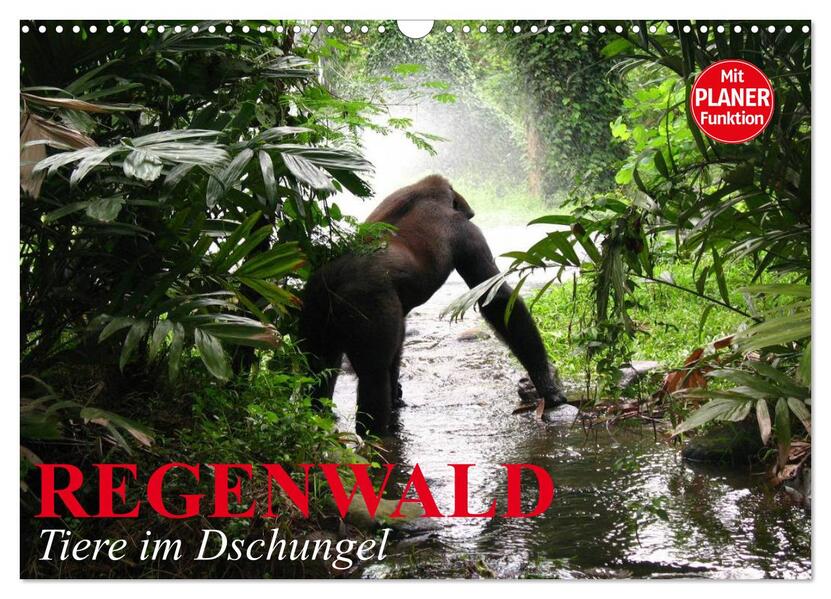 Regenwald. Tiere im Dschungel (Wandkalender 2026 DIN A3 quer) CALVENDO Monatskalender