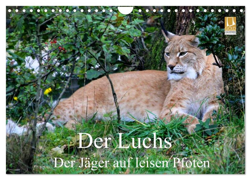 Der Luchs - Der Jäger auf leisen Pfoten (Wandkalender 2026 DIN A4 quer) CALVENDO Monatskalender