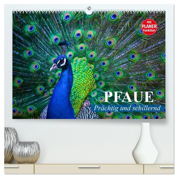 Pfaue. Prächtig und schillernd (hochwertiger Premium Wandkalender 2026 DIN A2 quer) Kunstdruck in Hochglanz