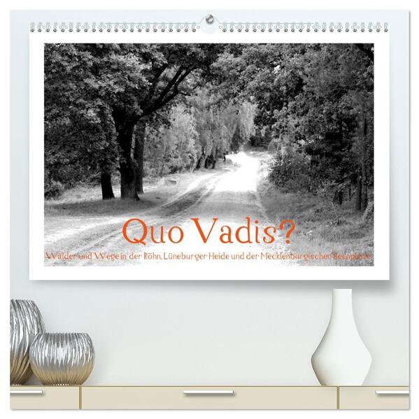 Quo Vadis? Wälder und Wege in der Röhn Lüneburger Heide und der Mecklenburgischen Seenplatte (hochwertiger Premium Wandkalender 2026 DIN A2 quer) Kunstdruck in Hochglanz