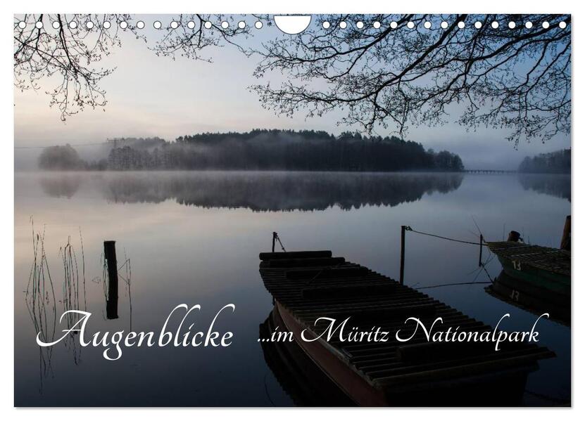 Augenblicke im Müritz Nationalpark (Wandkalender 2026 DIN A4 quer) CALVENDO Monatskalender