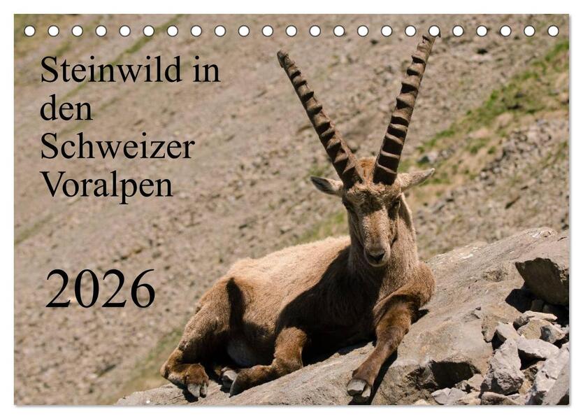 Steinwild in den Schweizer Voralpen (Tischkalender 2026 DIN A5 quer) CALVENDO Monatskalender