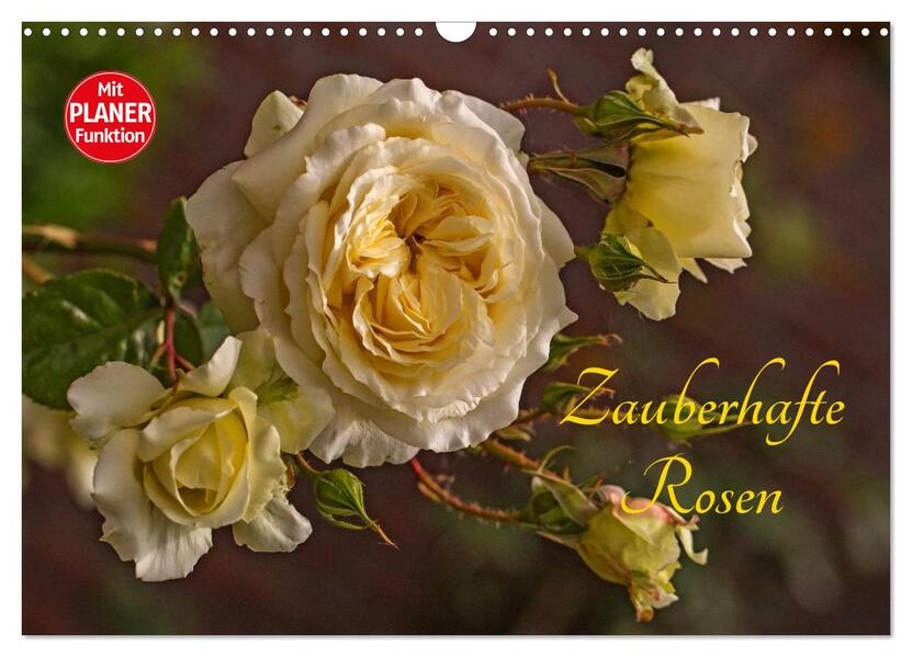 Zauberhafte Rosen (Wandkalender 2026 DIN A3 quer) CALVENDO Monatskalender