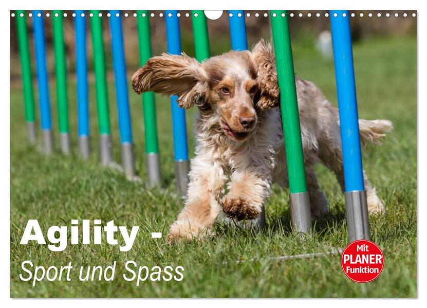 Agility - Sport und Spass (Wandkalender 2026 DIN A3 quer) CALVENDO Monatskalender