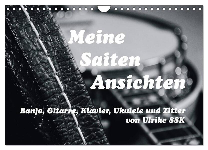 Meine Saiten Ansichten - Banjo Gitarre Klavier Ukulele und Zitter von Ulrike SSK (Wandkalender 2026 DIN A4 quer) CALVENDO Monatskalender