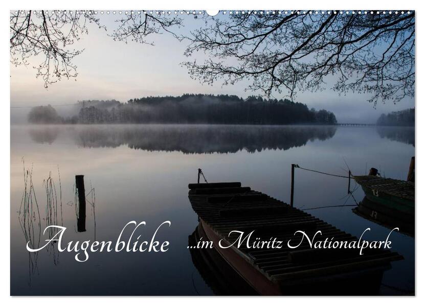 Augenblicke im Müritz Nationalpark (Wandkalender 2026 DIN A2 quer) CALVENDO Monatskalender