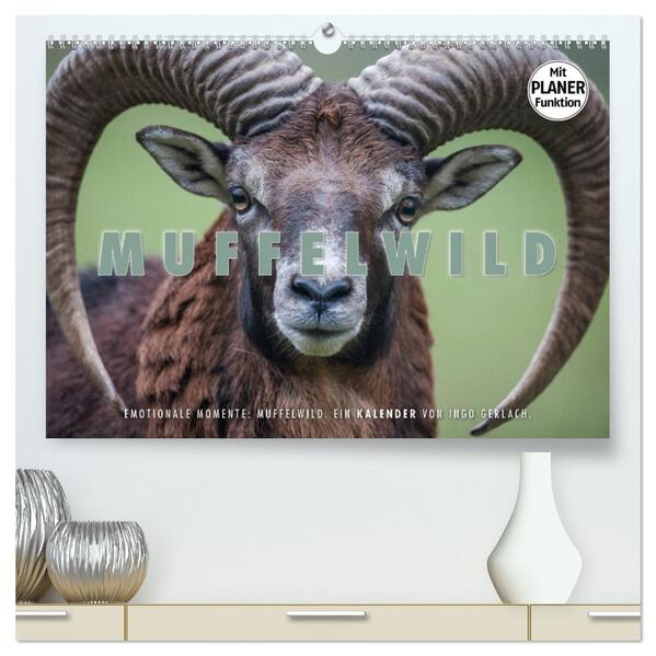 Emotionale Momente: Muffelwild. (hochwertiger Premium Wandkalender 2026 DIN A2 quer) Kunstdruck in Hochglanz