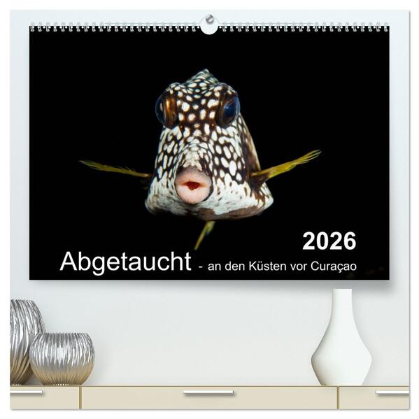 Abgetaucht - an den Küsten vor Curaçao (hochwertiger Premium Wandkalender 2026 DIN A2 quer) Kunstdruck in Hochglanz