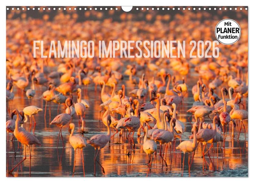 Flamingo Impressionen 2026 (Wandkalender 2026 DIN A3 quer) CALVENDO Monatskalender