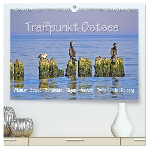 Treffpunkt Ostsee (hochwertiger Premium Wandkalender 2026 DIN A2 quer) Kunstdruck in Hochglanz