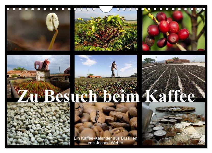 Zu Besuch beim Kaffee (Wandkalender 2026 DIN A4 quer) CALVENDO Monatskalender