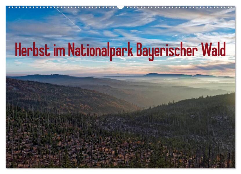 Herbst im Nationalpark Bayerischer Wald (Wandkalender 2026 DIN A2 quer) CALVENDO Monatskalender