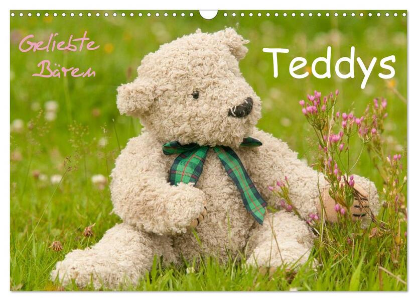 Geliebte Bären - Teddys (Wandkalender 2026 DIN A3 quer) CALVENDO Monatskalender