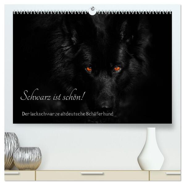 Schwarz ist schön! Der lackschwarze altdeutsche Schäferhund (hochwertiger Premium Wandkalender 2026 DIN A2 quer) Kunstdruck in Hochglanz