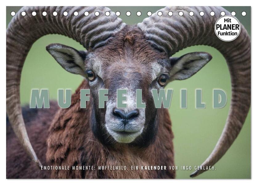 Emotionale Momente: Muffelwild. (Tischkalender 2026 DIN A5 quer) CALVENDO Monatskalender
