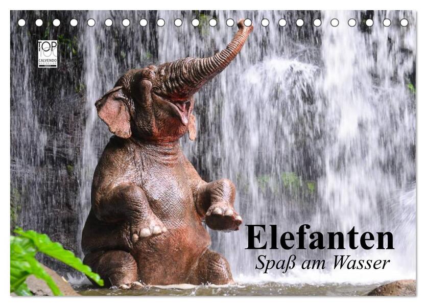 Elefanten. Spaß am Wasser (Tischkalender 2026 DIN A5 quer) CALVENDO Monatskalender