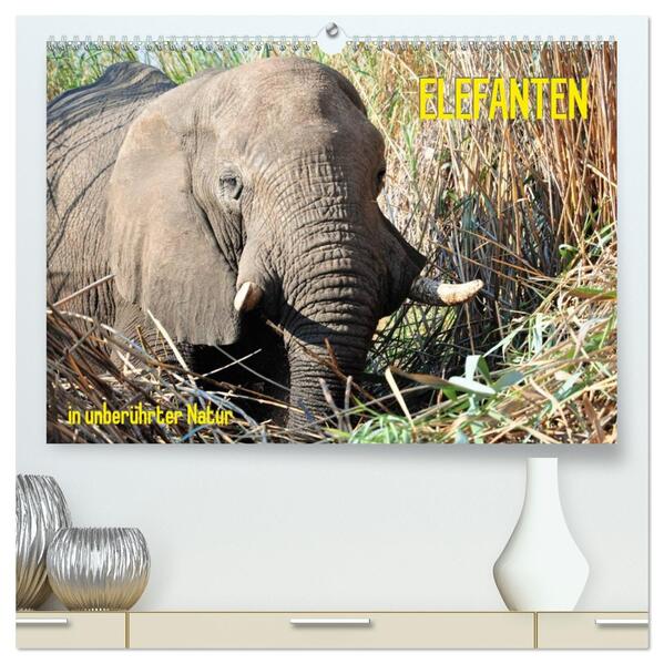 ELEFANTEN IN UNBERÜHRTER NATUR (hochwertiger Premium Wandkalender 2026 DIN A2 quer) Kunstdruck in Hochglanz