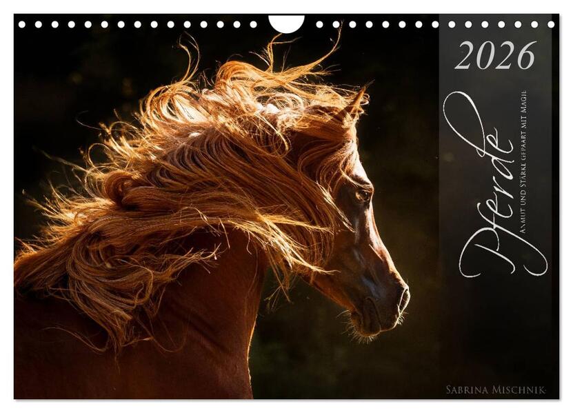 Pferde - Anmut und Stärke gepaart mit Magie (Wandkalender 2026 DIN A4 quer) CALVENDO Monatskalender